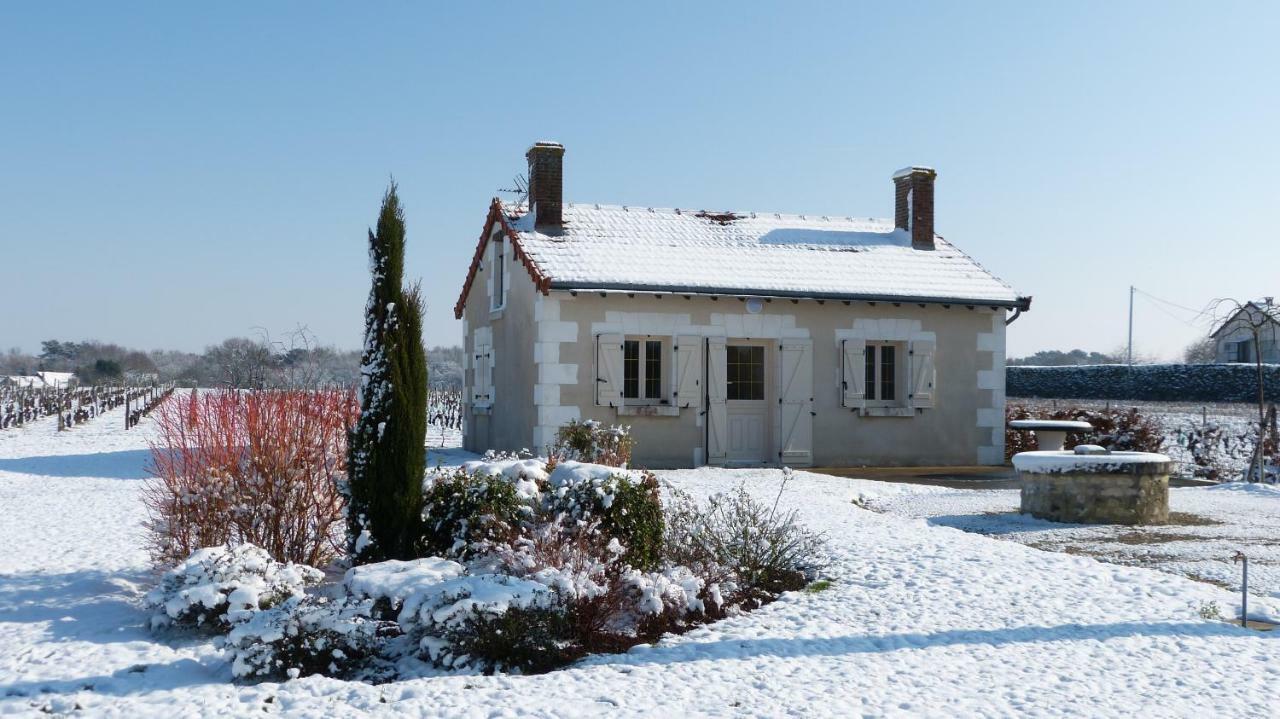 L'Ecrin Au Coeur Des Vignes Villa Saint-Georges-sur-Cher Buitenkant foto